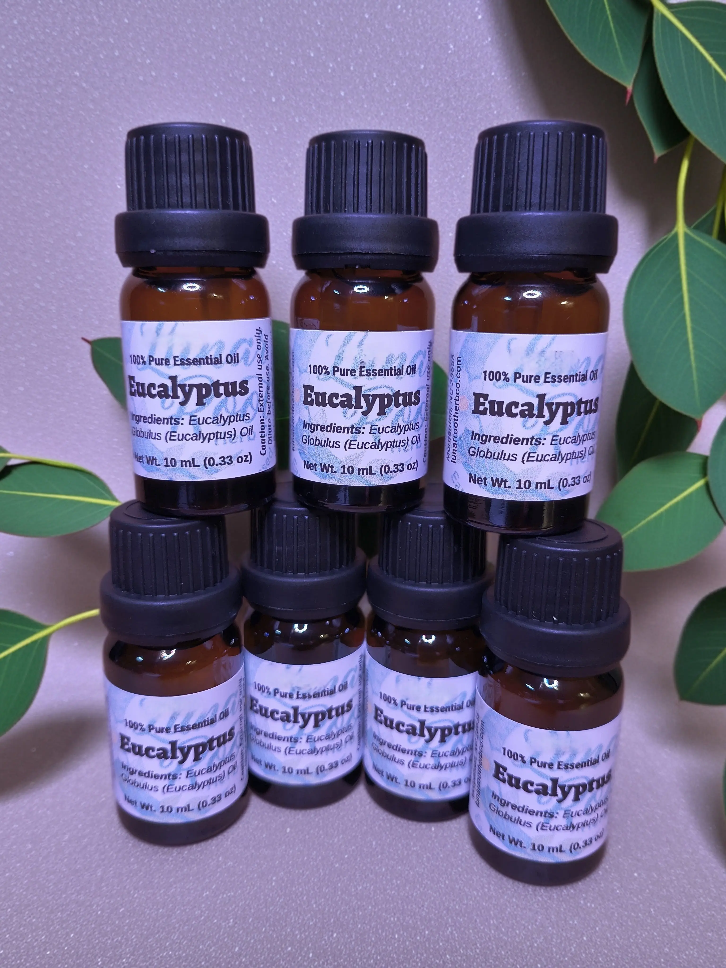 Eucalyptus Essential Oil (Eucalyptus globulus)