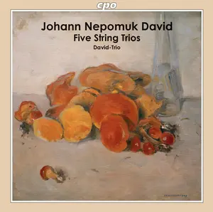 Ober-Osterreichisches David Trio - String Trios  [COMPACT DISC - CD]
