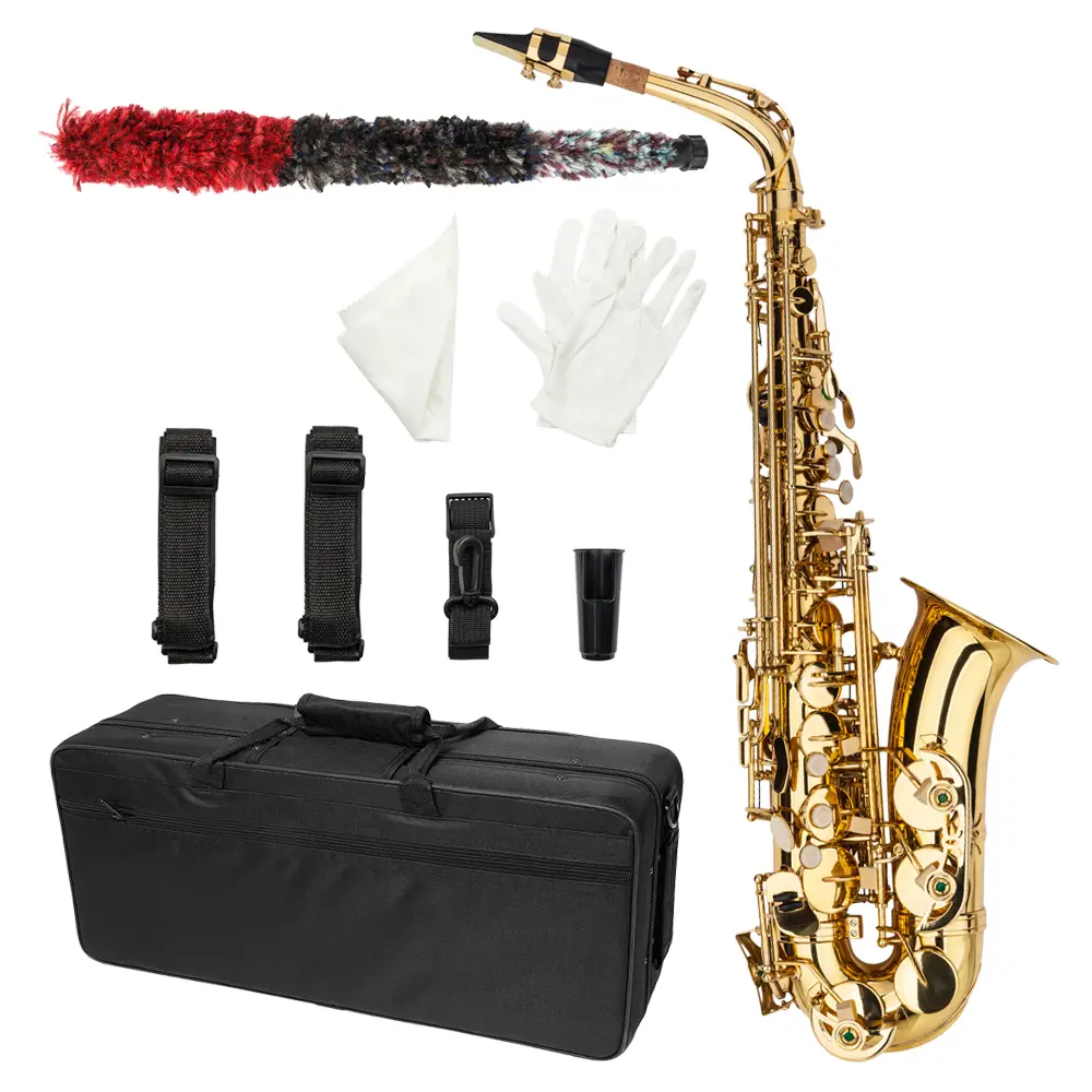 Gold E-Flat Alto Saxophone for Beginners | Complete Sax Kit with Carrying Case, Mouthpiece, Reeds, Cushion Pads, Cleaning Kit, Gloves, Neck Strap for Practice