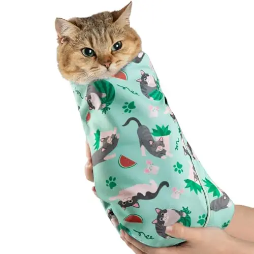 Summer Cat