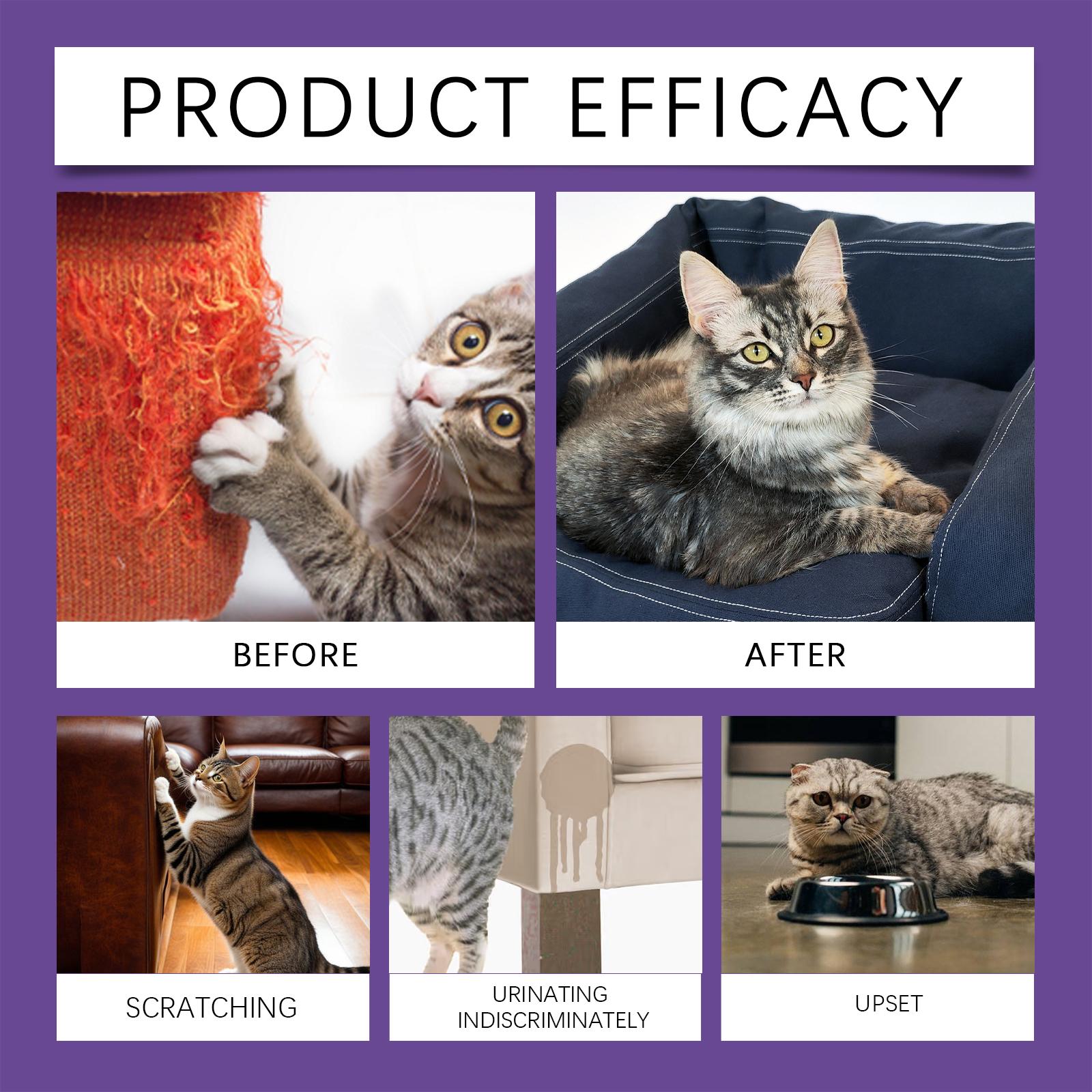 Cat Calming Spray | Stop Scratching & Inappropriate Urination | Gentle Stress & Anxiety Relief