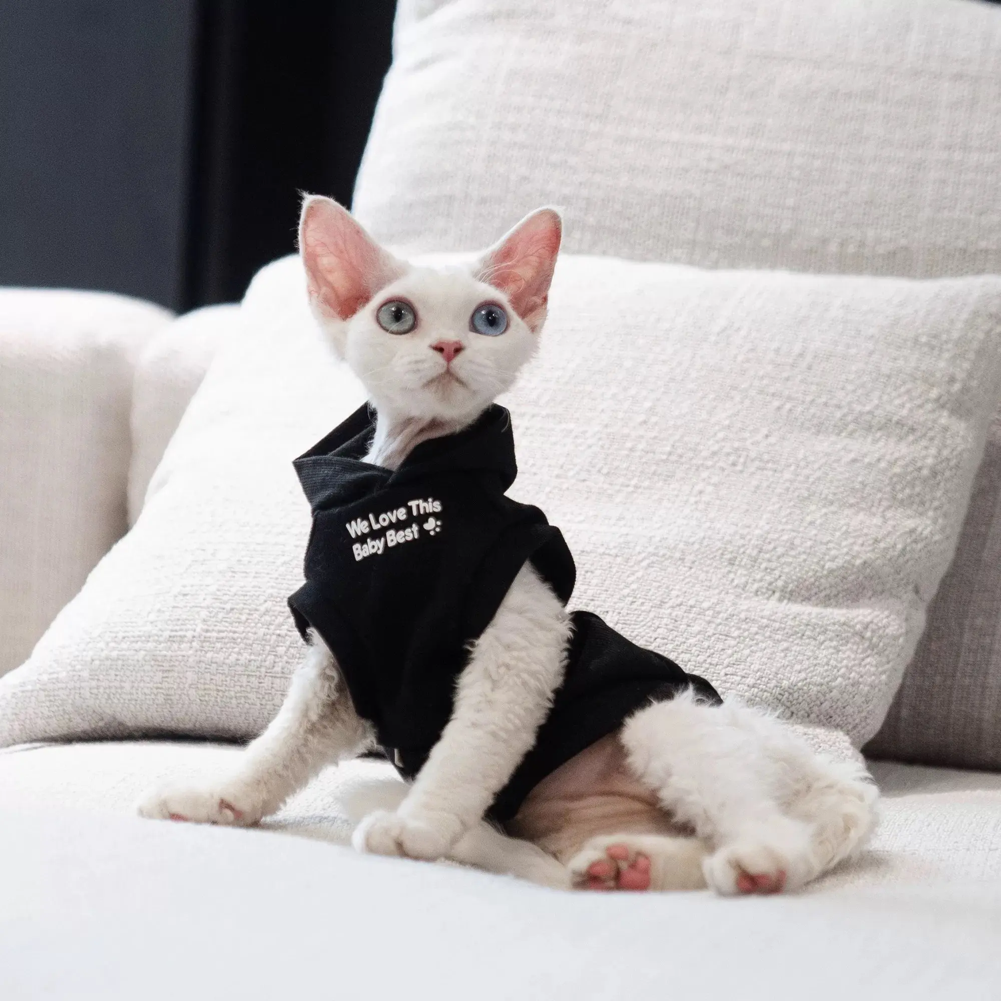 Pet Fleece-Lined Hooded Sweater Vest - Warmth Boost, Hooded Look, for Hairless Cats & Small Dogs (Sphynx, Devon) - Dog & Cat Clothing, Polyester, Stylish