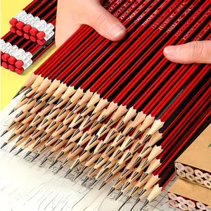 10-Pack Wood Hb Pencils with Erasers, 0.7mm Lead for Writing, Sketching & Painting, Ideal for Ages 14+, Durable School Supplies