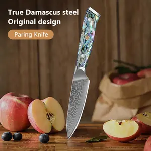 3.5 inch Paring Knife 67-Layer Damascus Steel  Knife Kitchen fruit & vegetable tools Cooking Tool Premium Abalone Shell Handle