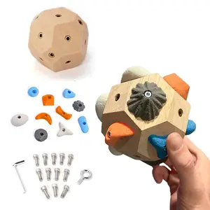 3D print Boulder Block Climbing Hold Strength Training Tool for Grip Power Precision Functional Fitness Decor Craft Miniature