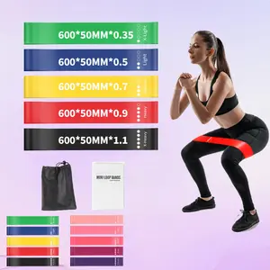 5-Piece Resistance Band Set, Color Options (Colorful & Pink), Durable TPE, Loop Elastic Band, for Pilates & Home Gym, with Carry Bag & Manual – Must-Have for Strength Training Enthusiasts