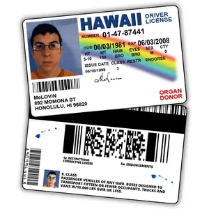 Pack of 3 McLovin ID Driver License Superbad/Prank Items/ ID License/Double Sided/ Complement for Costumes/Professional Quality: Funny  Accesories/Funny Things