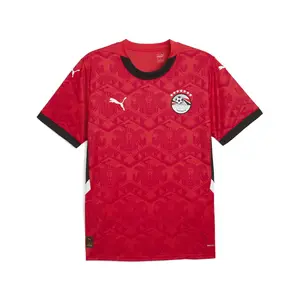 PUMA Mens Efa Home Crew Neck Short Sleeve Jersey Casual - Red