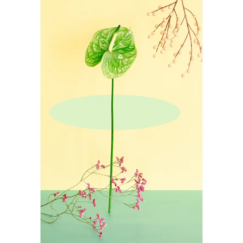 Still Life With Green Anthurium: Giclée Print, Floral Photo, Modern Art, Wall Hanging, Abstract Art, Decorative, Fine Art, Abstract Floral