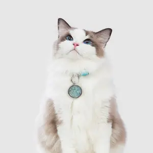 DIY Crystal Connection Pendants for both you and your fur baby Pets PREMIUM SET