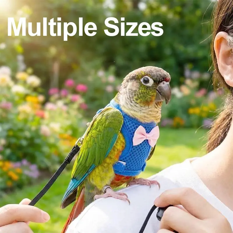 Parrot Harness Training Flying Rope Set with Leash, Parrot Outdoor Leash, Sun Conure Budgie Tiger Stripe Small Sun Release Rope, Bird Flight Vest, Bird Flying Clothes with Rope and Handle for Outdoor Activities Training, Anti Bite