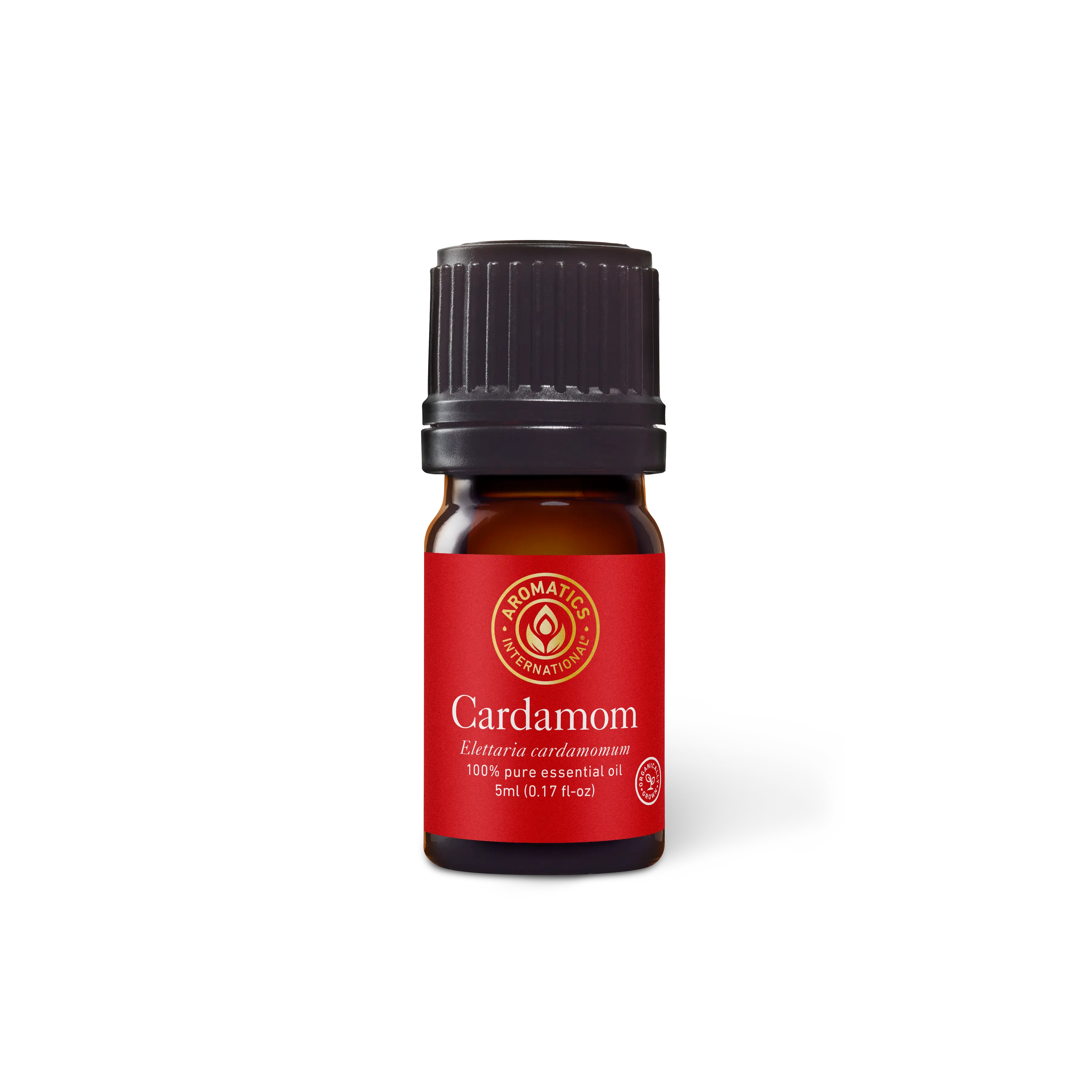 Cardamom Essential Oil for Aromatherapy and Wellness Therapeutic