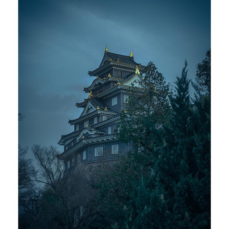 Japanese kinam / The Shogun of Japan - By master Eji Hirioshi