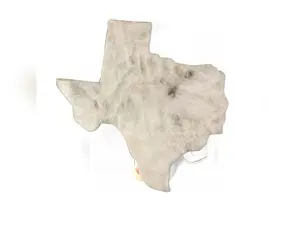 PP Texas shaped BRAZILIAN GRANITE LARGE