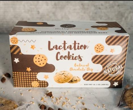 Oatmeal Chocolate Chip Lactation Cookies