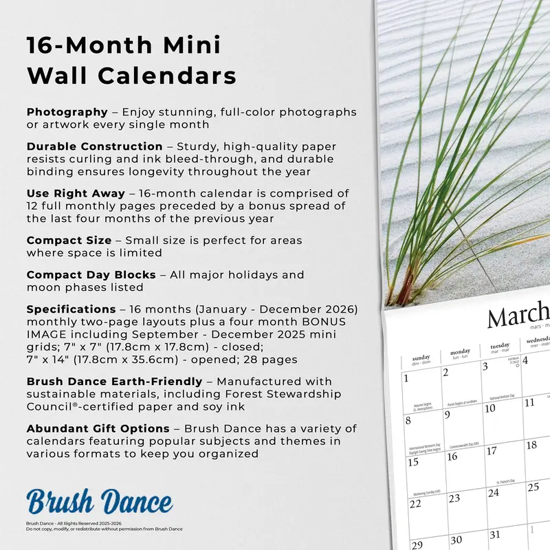 Simplicity | 2026 7 x 14 Inch (Hanging) Monthly Mini Wall Calendar | Brush Dance | Colorful Photography Inspiration Quotes 5