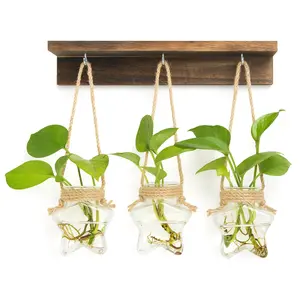 Boho Wall Mounted Plant Propagation Tubes - Wooden Rack & 3 Star Glass Terrariums