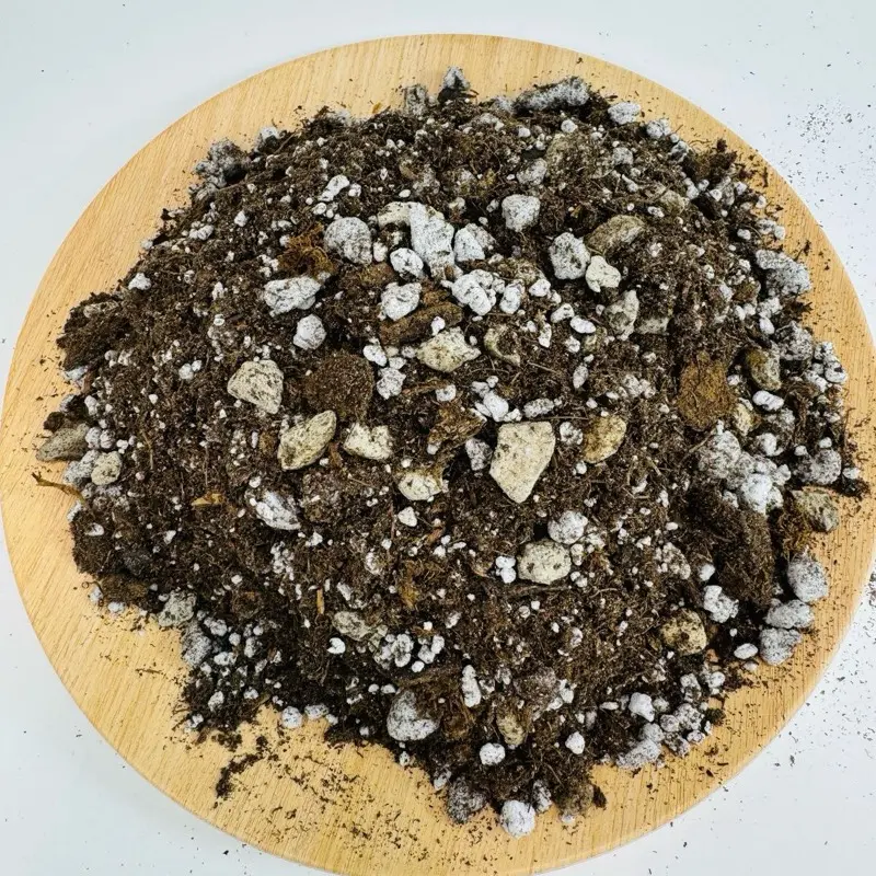 best soil for jade plant - TikTok Shop