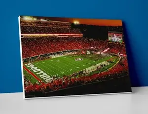 Georgia Football Stadium Poster - Georgia Bulldogs Football Wall Art - POSTER NO FRAME