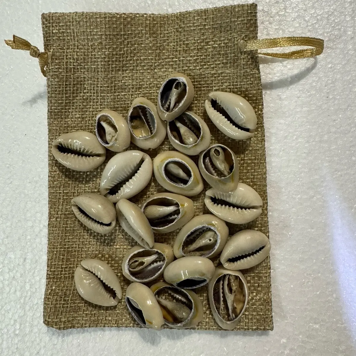 One hand 21 pieces of sea shell open ended in a San lazaro elastic bag Bolsa de San lazaro con 21 una mano Caracoles Santeria Ifa Yoruba Yemaya Bag