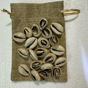 One hand 21 pieces of sea shell open ended in a San lazaro elastic bag Bolsa de San lazaro con 21 una mano Caracoles Santeria Ifa Yoruba Yemaya Bag