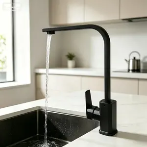 Kitchen Faucet with Pull-Down Sprayer, Stainless Steel Single Handle Cold Hot Dual Control Spring Faucet, Ideal for Kitchen Use