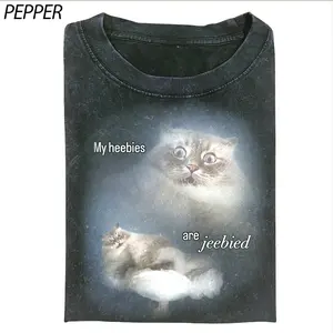 My Heebies Are Jeebied Cat Meme Shirt, Funny Viral Quote Graphic Tee, Vintage Spooky Cat Lover Gift, Goblincore Humor Apparel Crewneck Shortsleeve