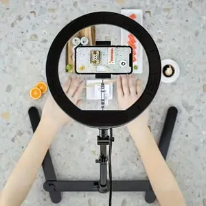 10 Inch LED Ring Light with Adjustable Brightness, USB Powered with Overhead Stand, Selfie Accessories Ideal for Vlog and Makeup Photography