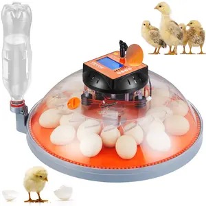 Spring new arrivals Egg Incubator, Incubators for Hatching Eggs, Automatic Egg Turner with Temperature and Humidity Control, 24 Eggs Poultry Hatcher with ABS Transparent Shell for Chicken, Duck, Quail