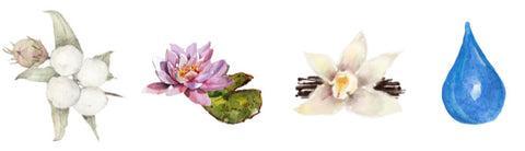 Wild Cotton Room Spray