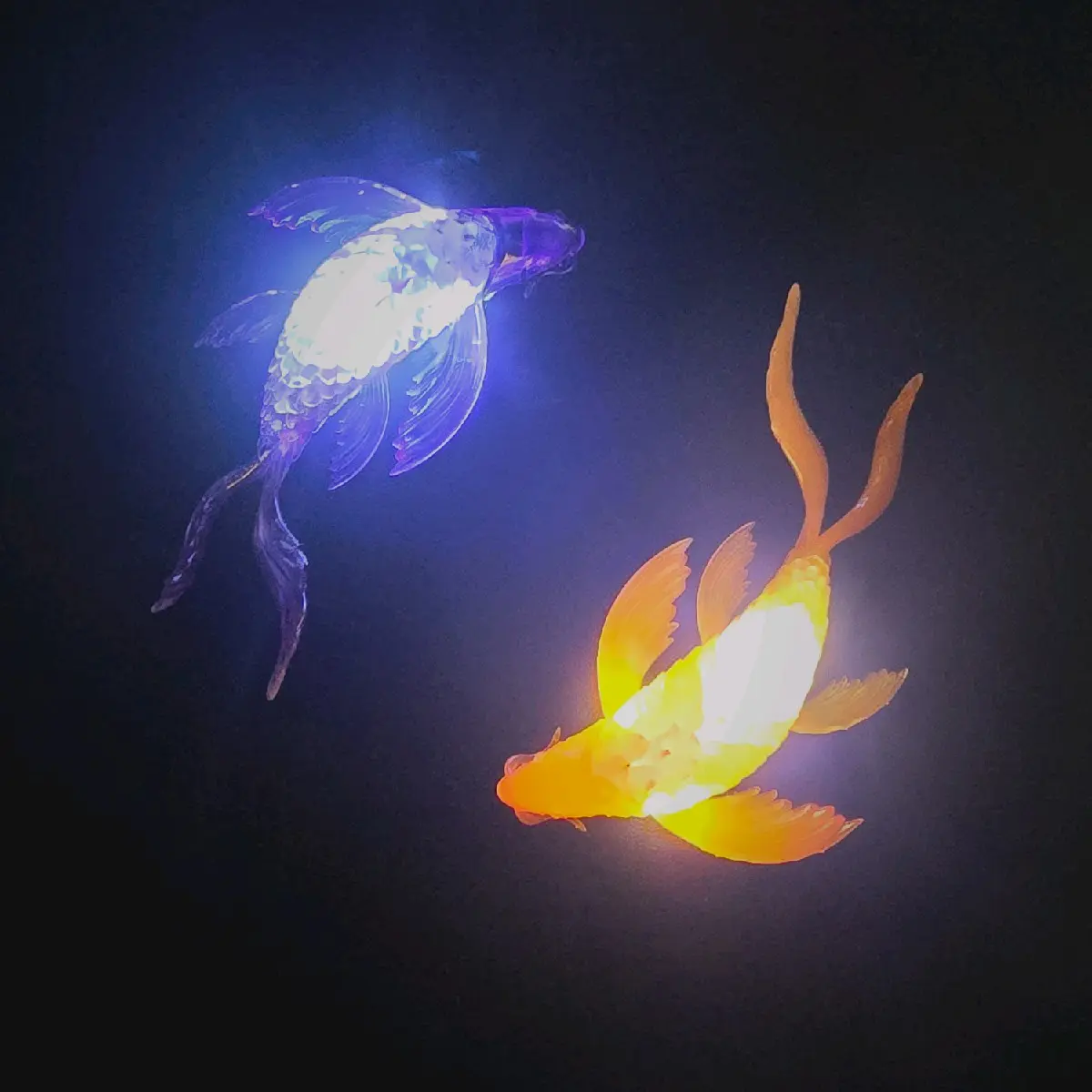 Premium Glowing Koi Sculptures - Classic & Novelty Statues