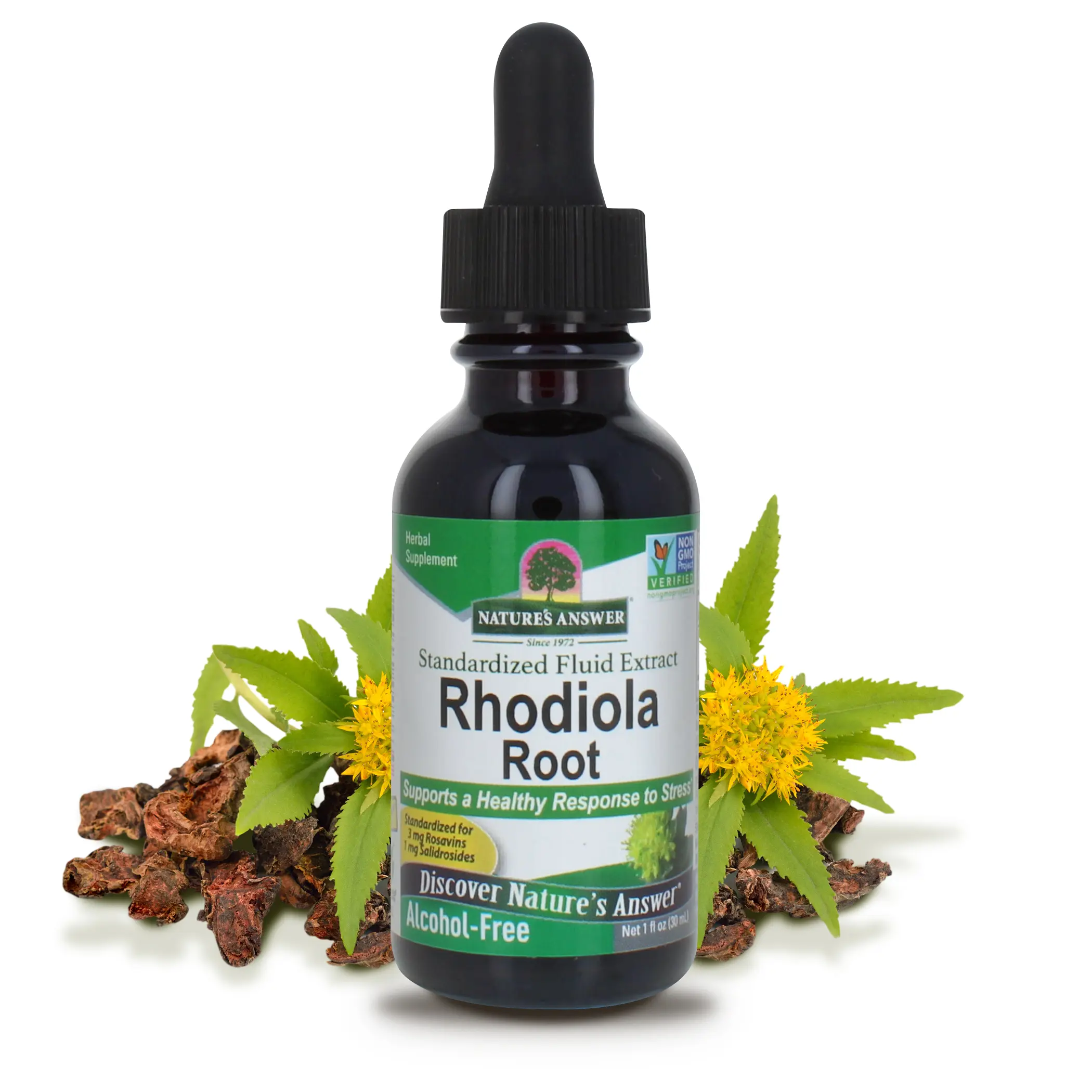 Nature's Answer Rhodiola Root 1 Fluid Ounce | Super Concentrated Herbal Supplement | Mood Support | Adaptogen Properties | Gluten-Free | Single Count
