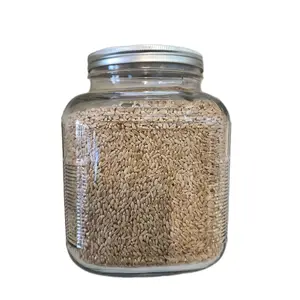 Soft White Wheat Berries 6lbs Glass Jar Regeneratively Raised Superior Nutrient Dense Low Gluten Structure Great for Breads Yeast Pantry Ready
