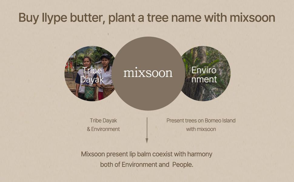 [mixsoon Official Shop] Vegan Melting Lip Balm (Clear) 0.14 oz / 4.1g - Nourishing Lip Balm Stick for Dry Cracked Lips, Korean Skin Care