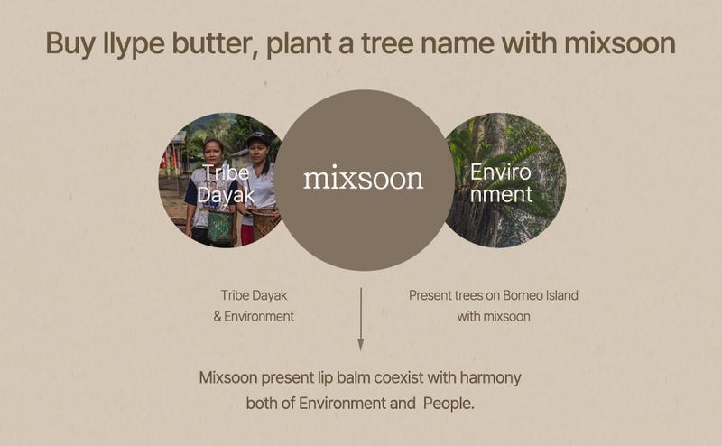 [mixsoon Official Shop] Vegan Melting Lip Balm (Clear) 0.14 oz / 4.1g - Nourishing Lip Balm Stick for Dry Cracked Lips, Korean Skin Care