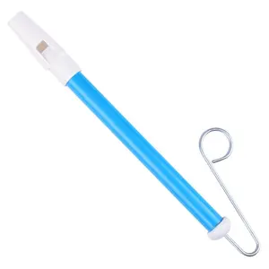 Slide Whistle, Children's Beginner Flute Wind Instrument with ABS Plastic Build, Music Learning Tool, Pitch Slider, Stainless Tip