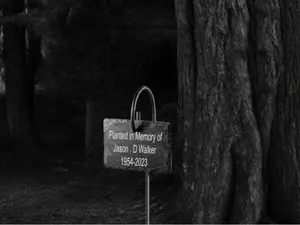 Memorial Tree Plaque With Stake - Grave Marker - Tree sign - Pet memorial - Custom sign - Memorial stone - Memorial plaque Metal Decor