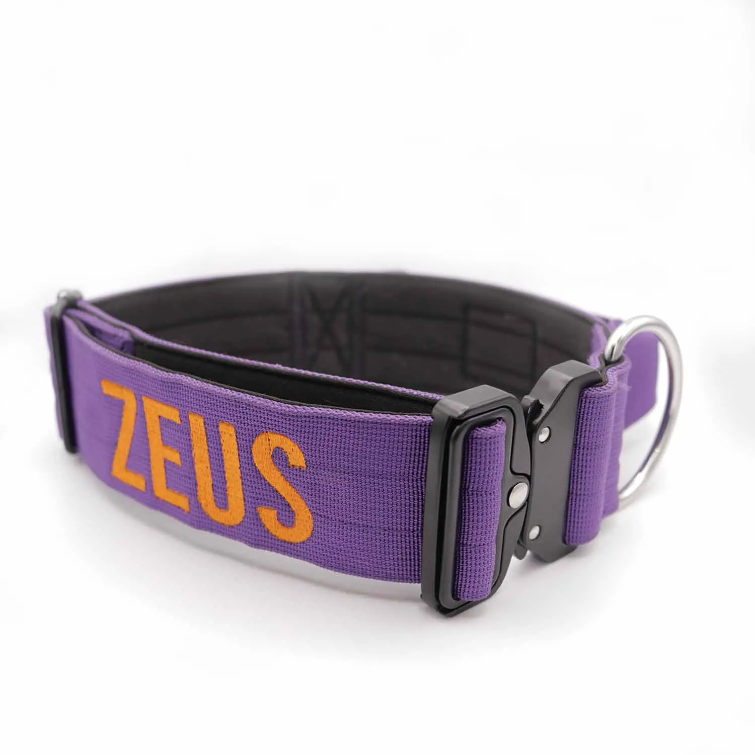 Purple Bully Proof Collar