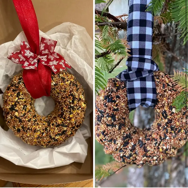 Bird Seed Wreath with Festive Bow - Perfect for Holiday Decor & Bird Feeding - Unique Christmas Ornament