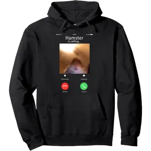 Hamster staring front camera hamster calling Pullover Hoodie