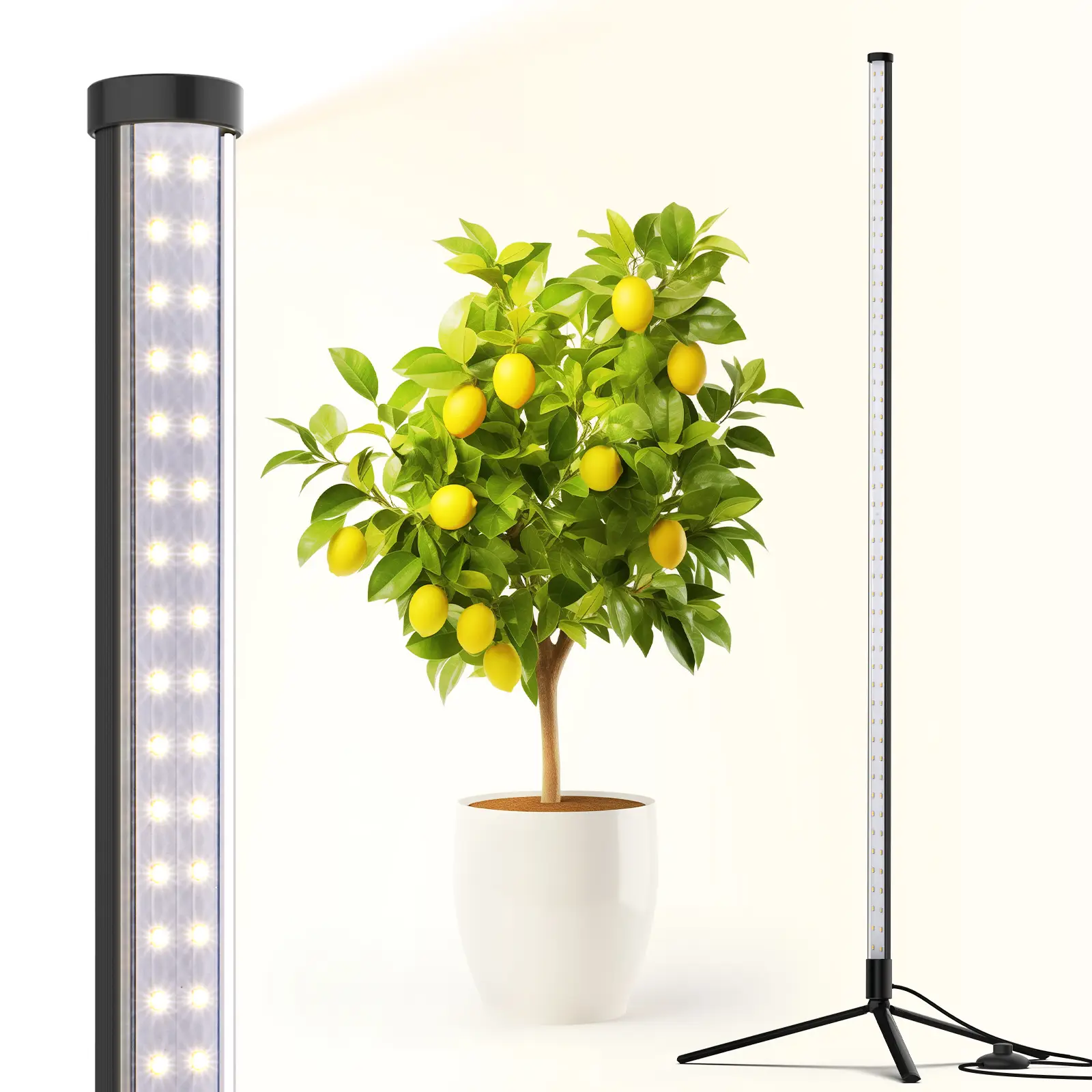 Barrina T10 Standing Grow Light 4FT, 42W, 5000K, Full Spectrum, Vertical LED Plant Light, Wide Coverage, with On/Off Switch and Tripod Floor Stand