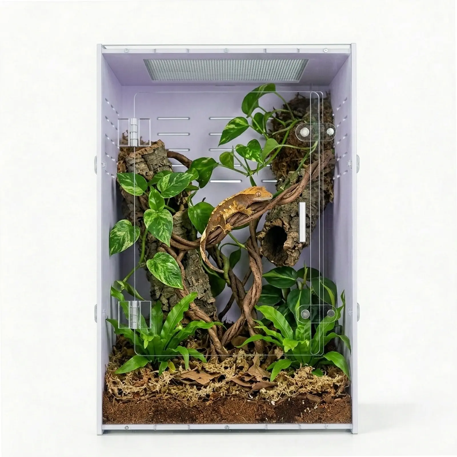 MonsterBox 12x12x18 White PVC Reptile Terrarium - Vertical Habitat for Crested Gecko & Tree Frog, with Screen Top, Lockable Front Door