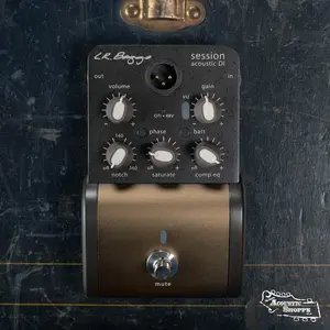 L.R. Baggs Session DI