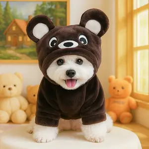 Rainbow Bear Transformation Costume, Two-Leg Clothes for Dogs and Cats, Suitable for Teddy, Bichon, Pomeranian, Yorkie, Small Dogs