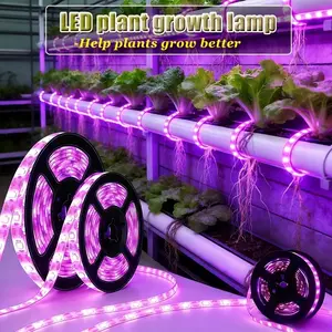 LED Full-spectrum Seedling Growth Lamp, Indoor Plant Growth Lamp, Purple-pink Lamp Strip, Suitable for Seedlings, Succulent Plants, Greenish-leaved Vegetables and Flowers, for Use in String Lights, for Gardeners