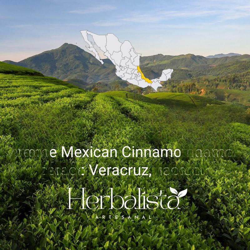 5oz Premium Mexican Cinnamon Sticks – Canela Entera from Veracruz, Mexico – Naturally Sweet & Aromatic Whole Cinnamon Bark – Hand-Selected Quality – Imported from Mexico