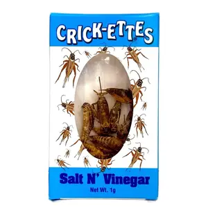 Hotlix Edible Crickettes Seasoned Snacks - Delicious and Nutritious Bite Dried Dry bug candy