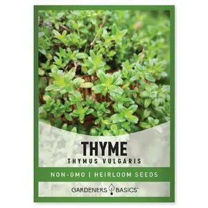 Winter Thyme Seeds For Planting Indoors and Outdoors Herb Seeds For Home Garden