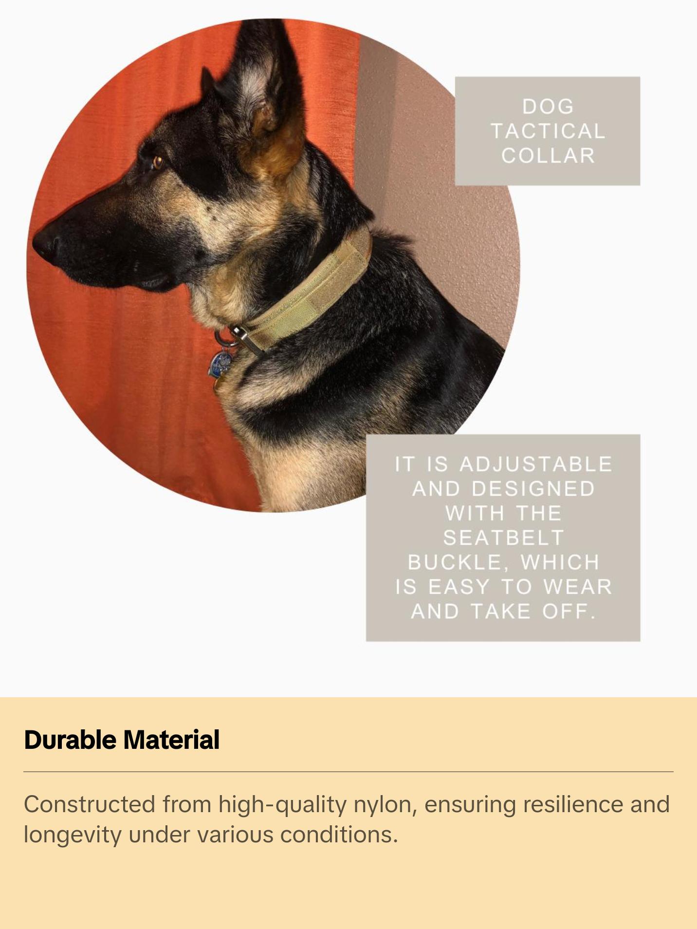 Fast Shipping Durable Military Tactical Dog Collar