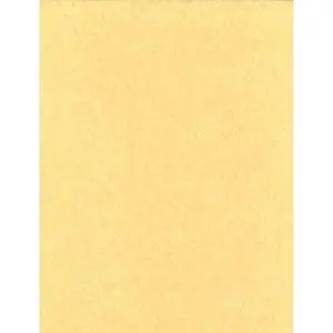 Light Parchment Paper 5 Pack (8.5x11) - Premium Quality